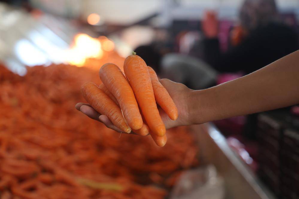 Konya’nın Türkiye’de iddialı olduğu üründe hasat zamanı 5